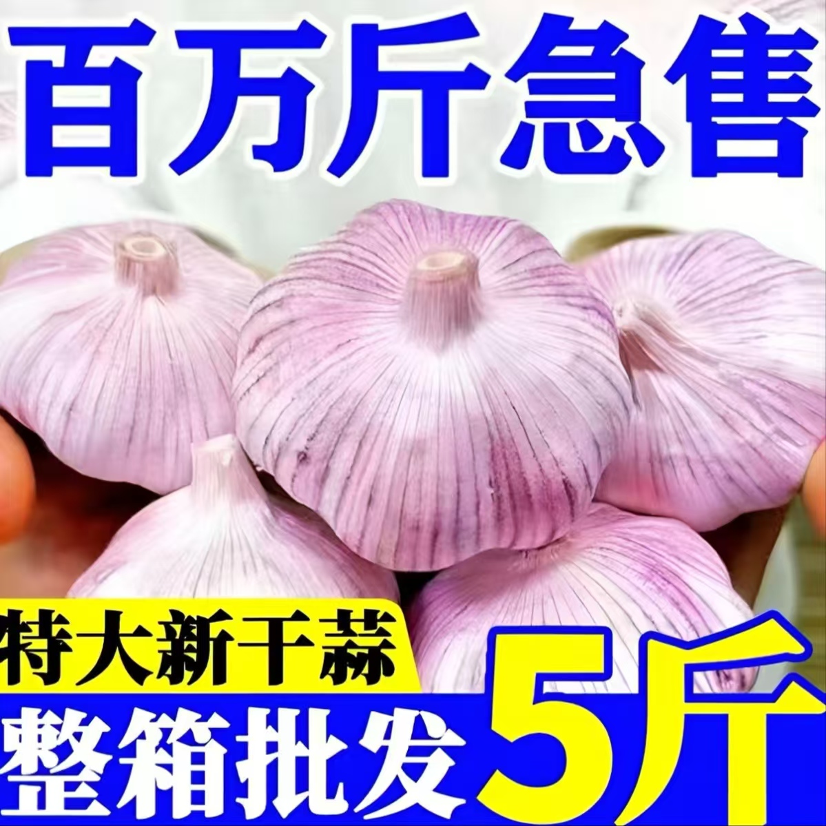 山东金乡紫白皮干大蒜1斤3斤5斤9斤一件也是批发价可吃可种植