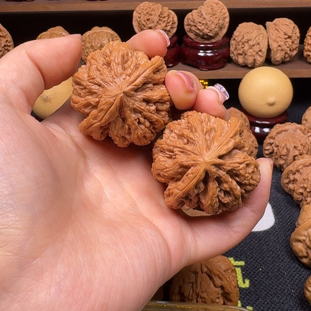 文玩核桃吊坠43粗筋