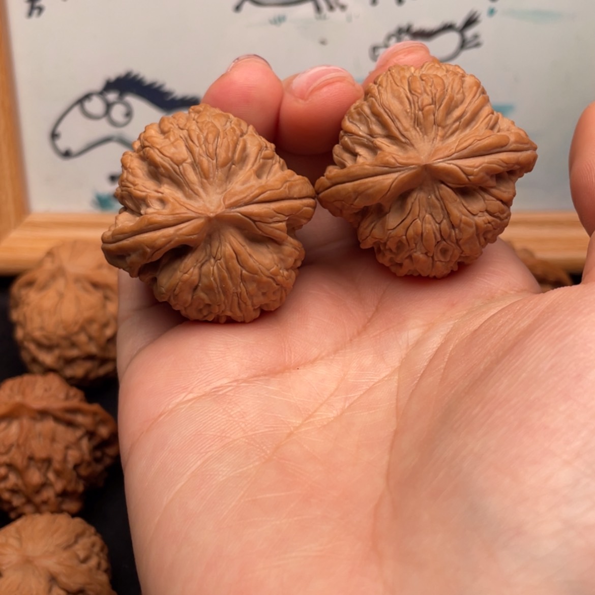 【闪购商品】文玩核桃把件37全品龙骨舍利