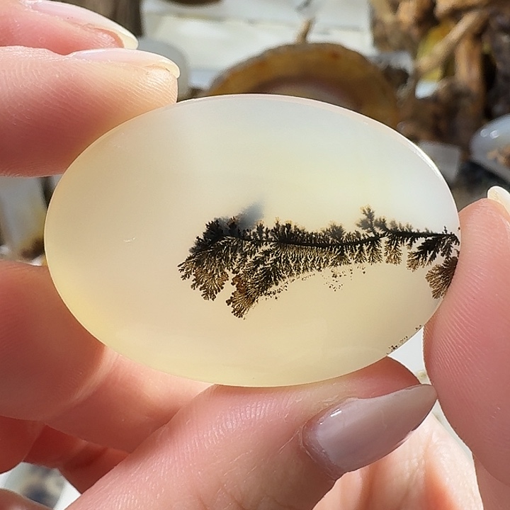 玛瑙/玉髓未镶嵌珠宝奇石