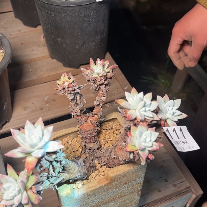 111哈哈哈哈哈哈哈哈