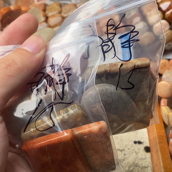 *****颈饰未镶嵌硅化珊瑚（珊瑚玉）