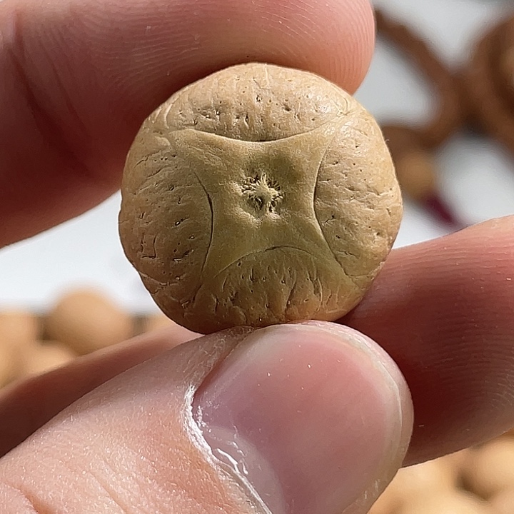 手串凤眼菩提尼泊尔小凤眼