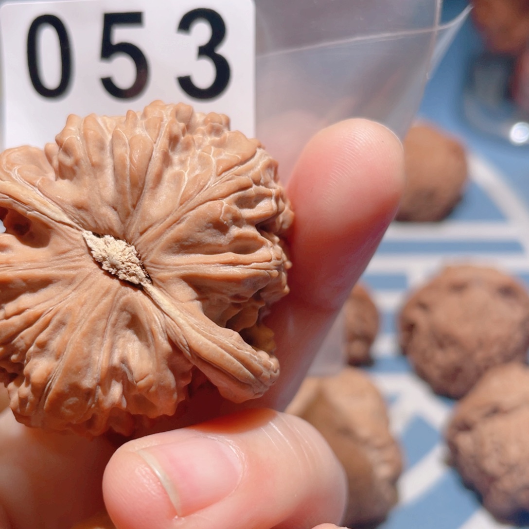 文玩核桃吊坠爱**犟白狮子