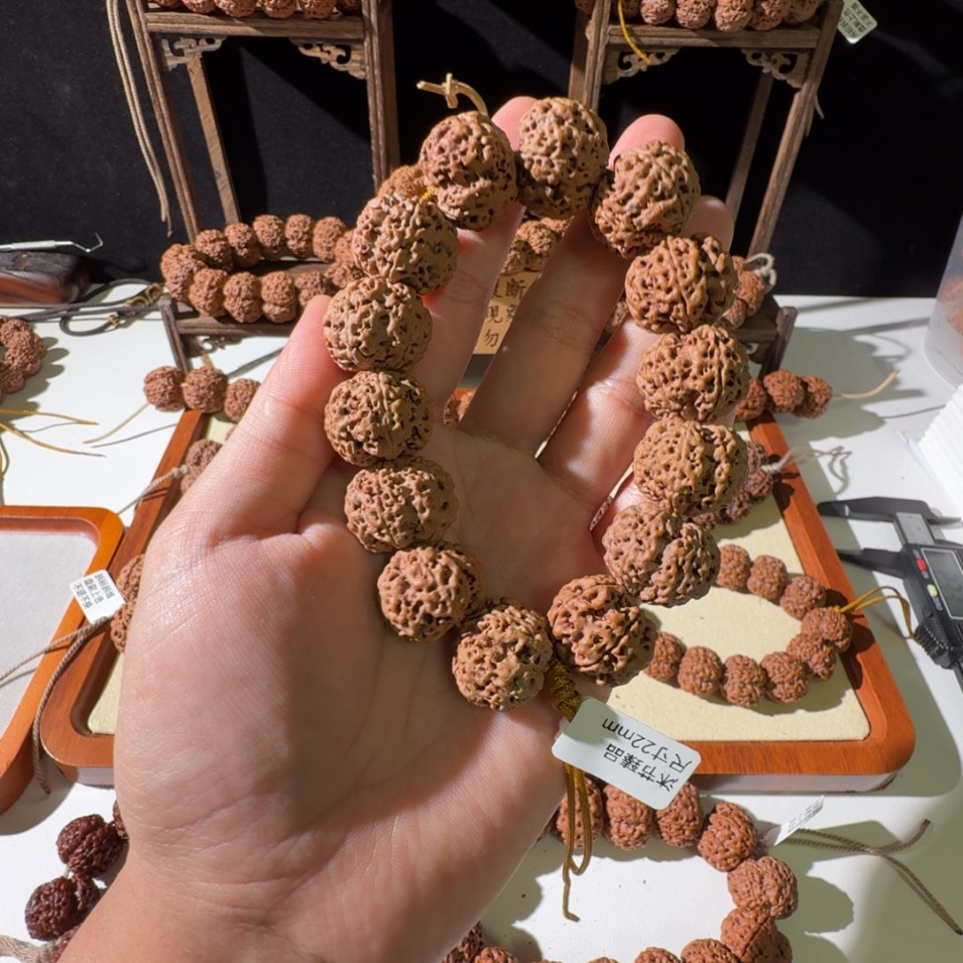 金刚菩提吊坠22尺寸蜂窝双龙头货