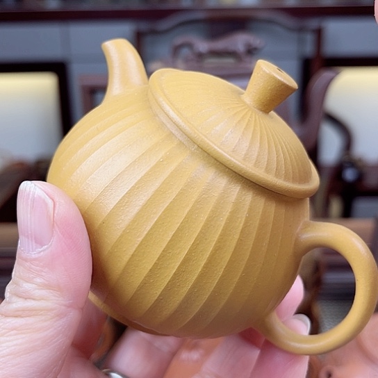 紫砂茶壶今天不知道