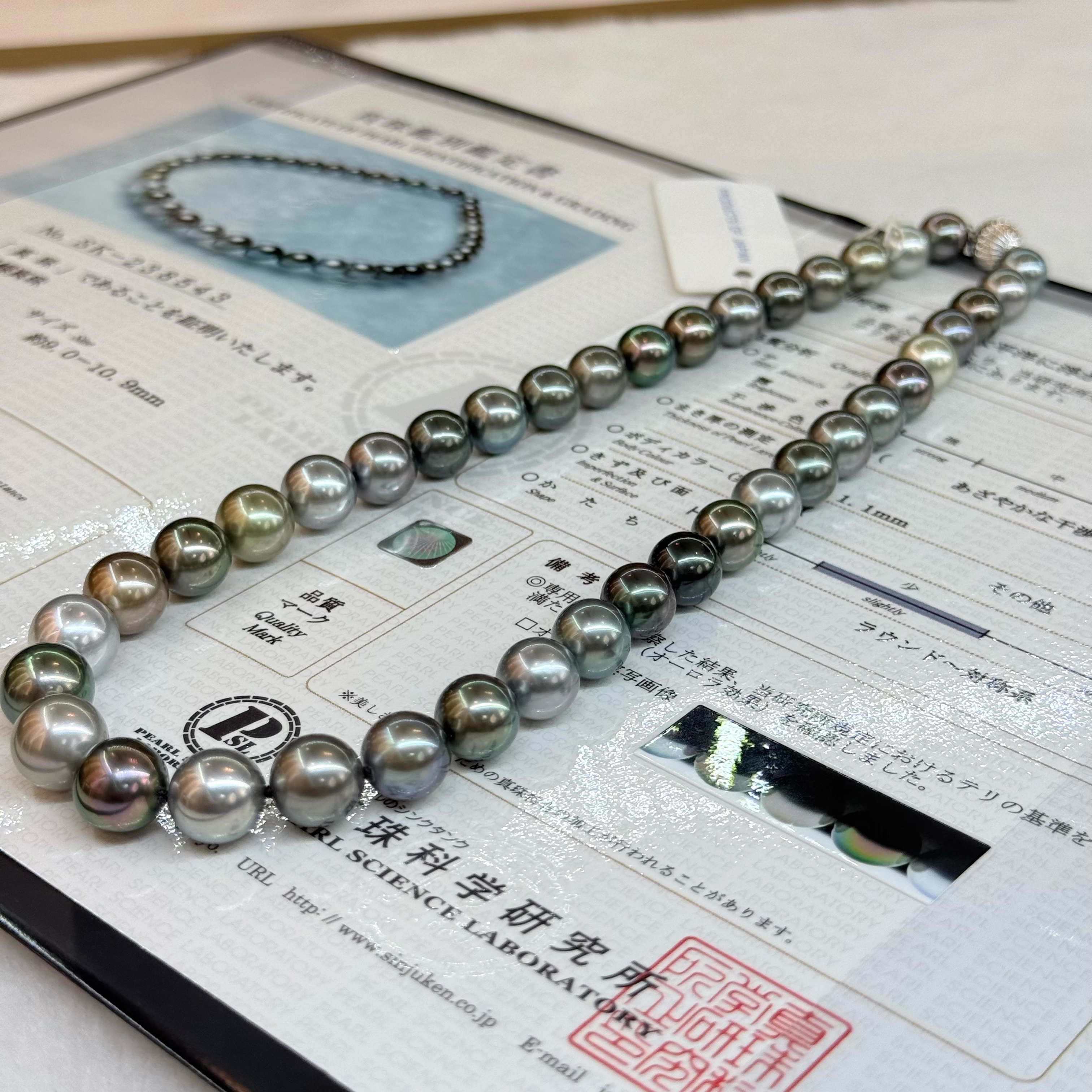 【小彤专属】【大地之光】大溪地珍珠8-11项链（多样性发货发一）RY8149