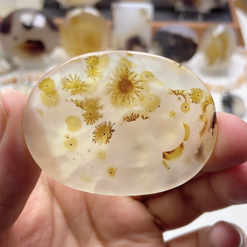 【闪购商品】玛瑙/玉髓颈饰未镶嵌