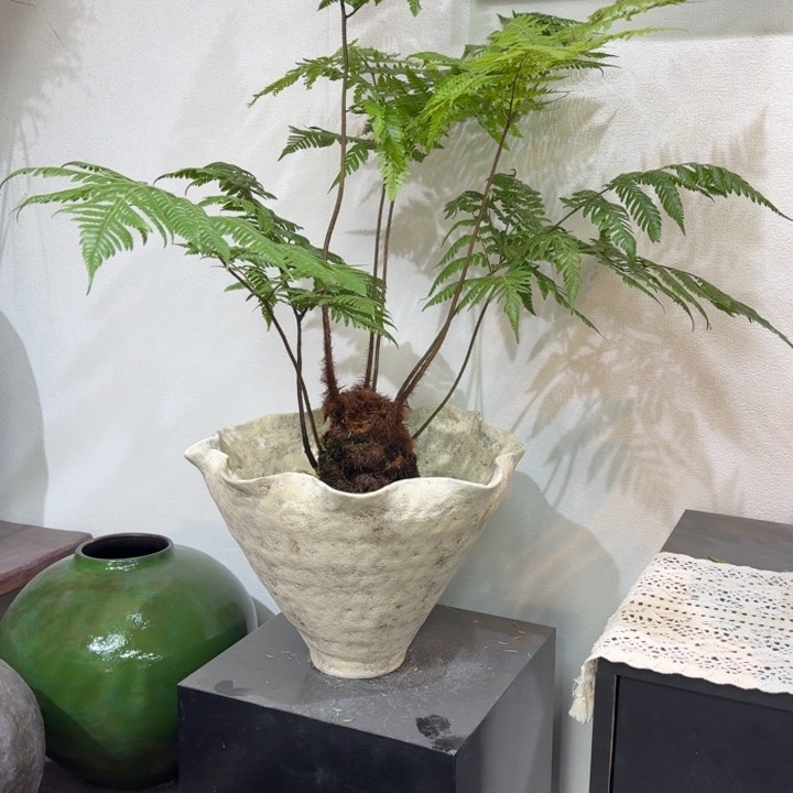 瓷片景德镇手工盘泥