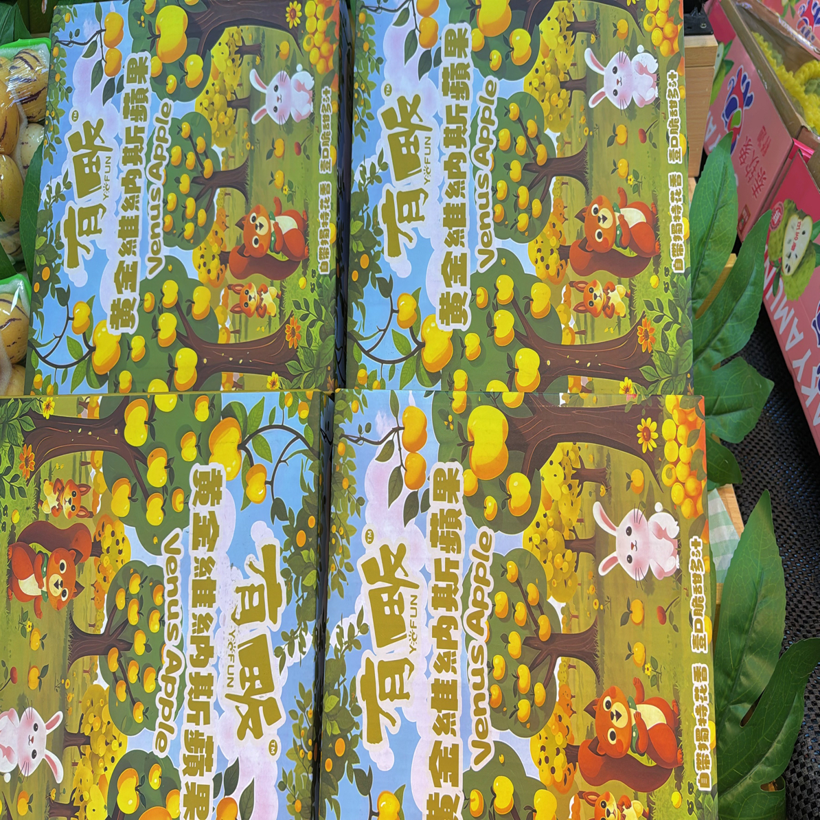 黄金维纳斯小苹果山东省