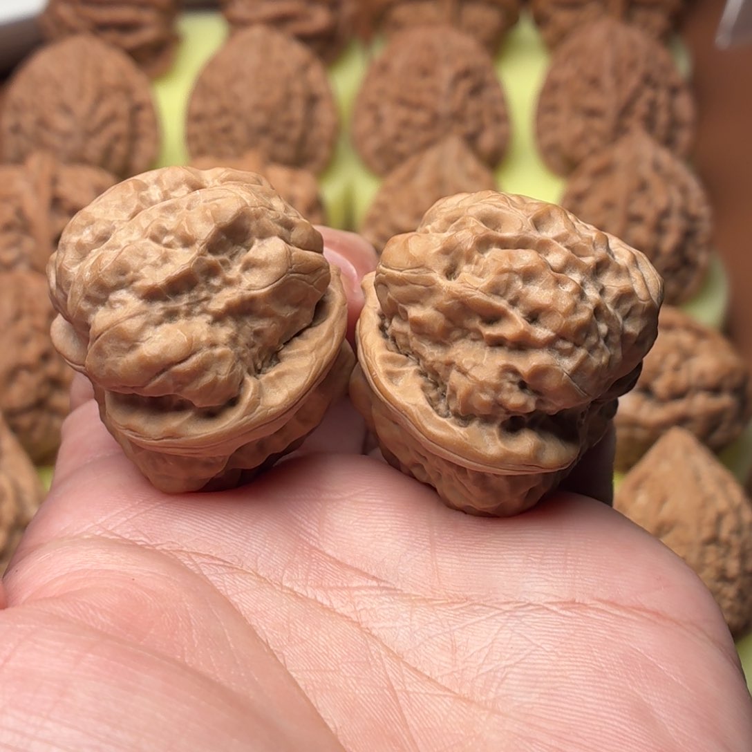 把件文玩核桃37尺 全品蛤蟆头