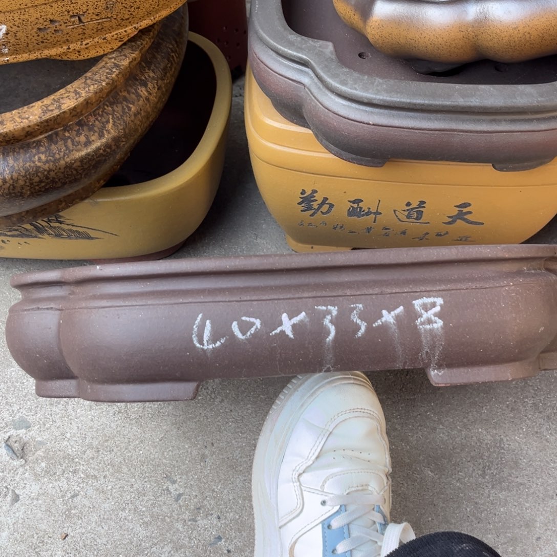 紫砂花盆盆景艺术