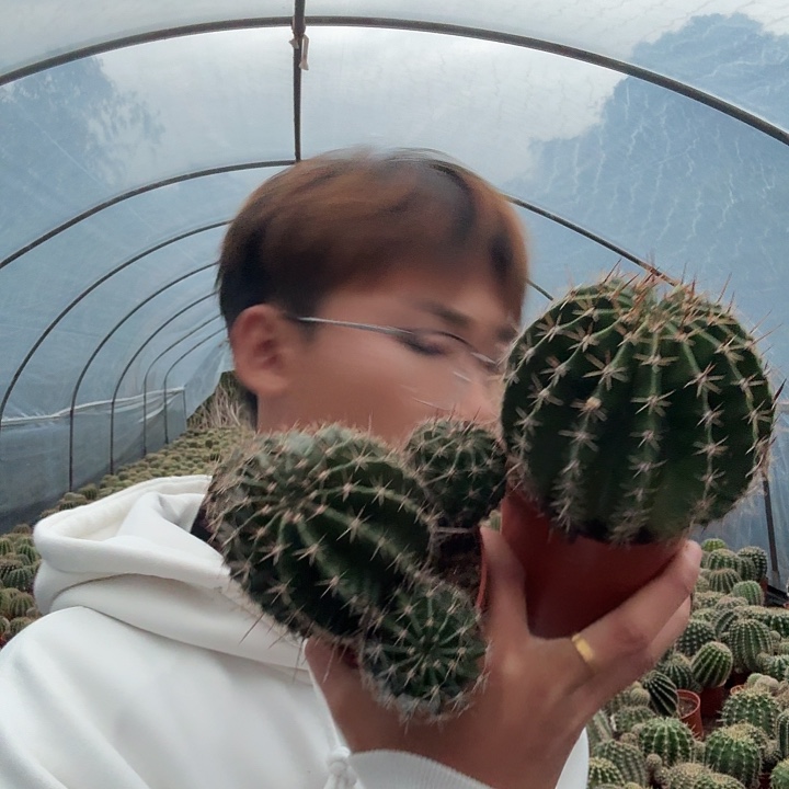 孜***肉无花朵彩草哈哈哈哈哈哈哈