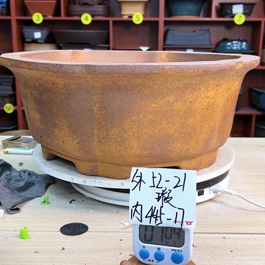 红陶7**9紫砂花盆里放