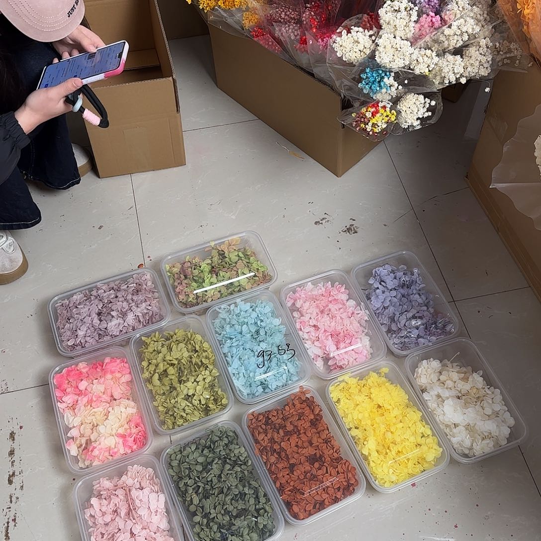 G36号混色12盒绣球