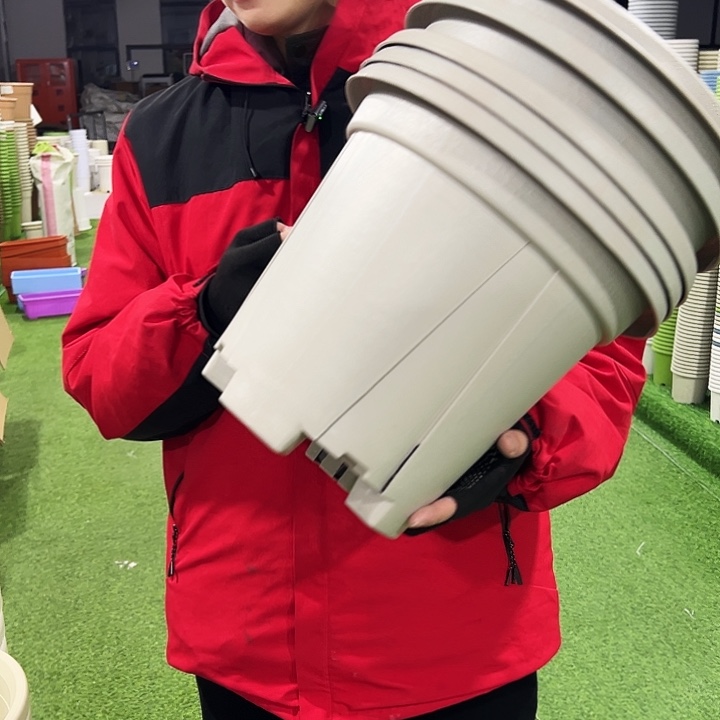 微瑕青山口32高28灰白色5只无托