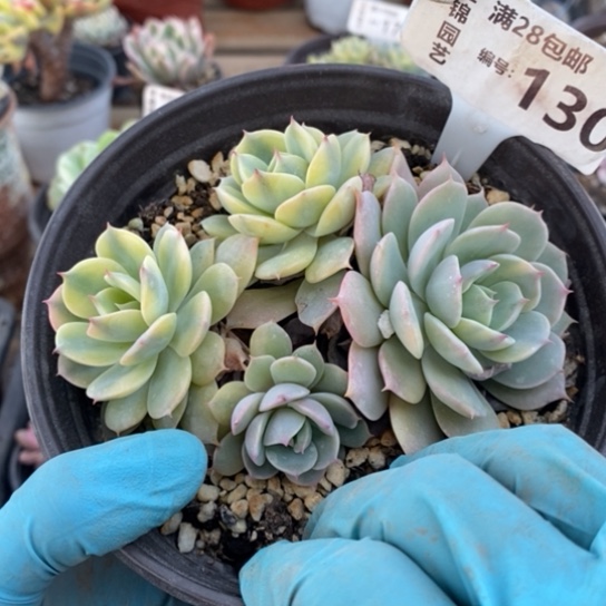 130一一一一一一一一一一一