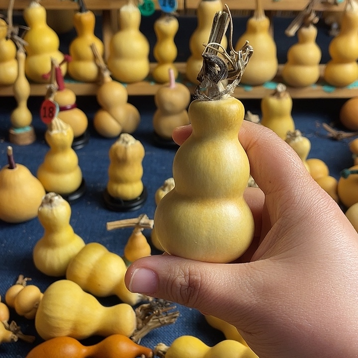 L****111111111111111111111111