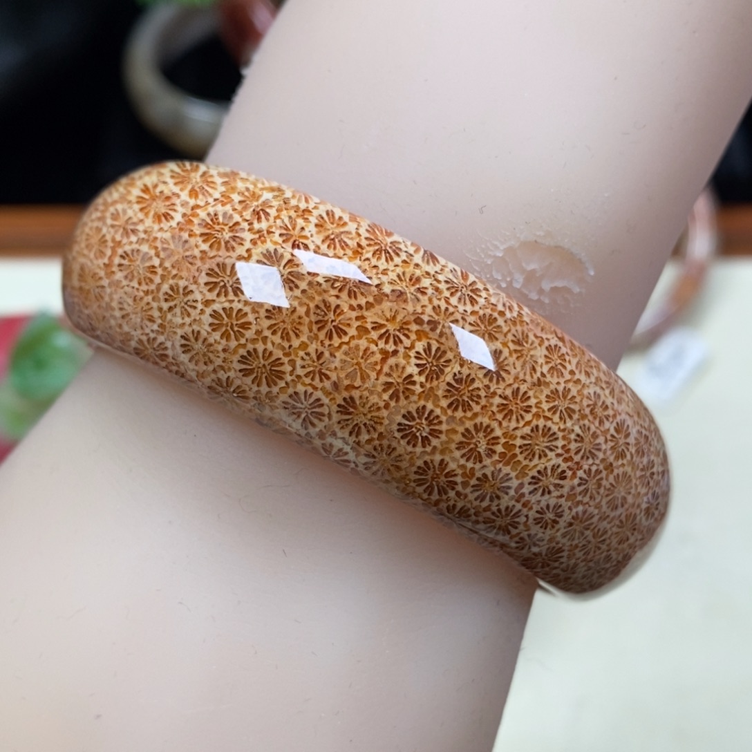 硅化珊瑚（珊瑚玉）未镶嵌手镯圈口55.8