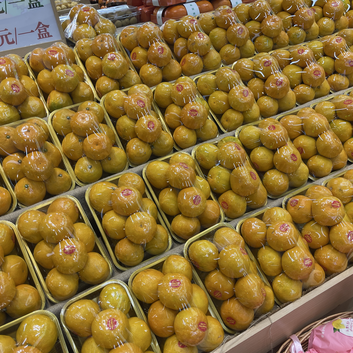 红土爆橘一盒八枚广西壮族自治区