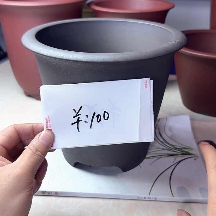春秋花盆精品花盆