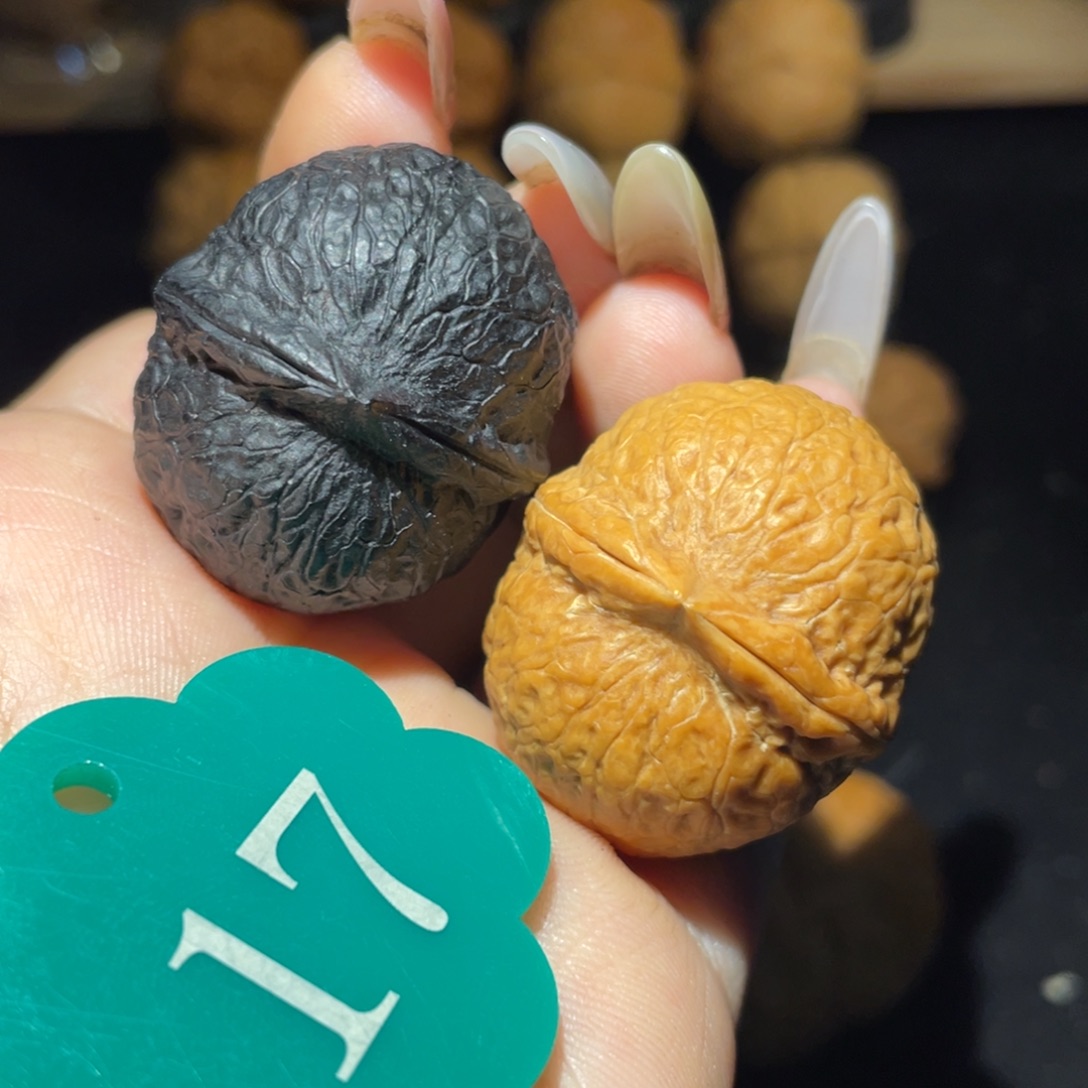 阴阳对33尺寸和她。 