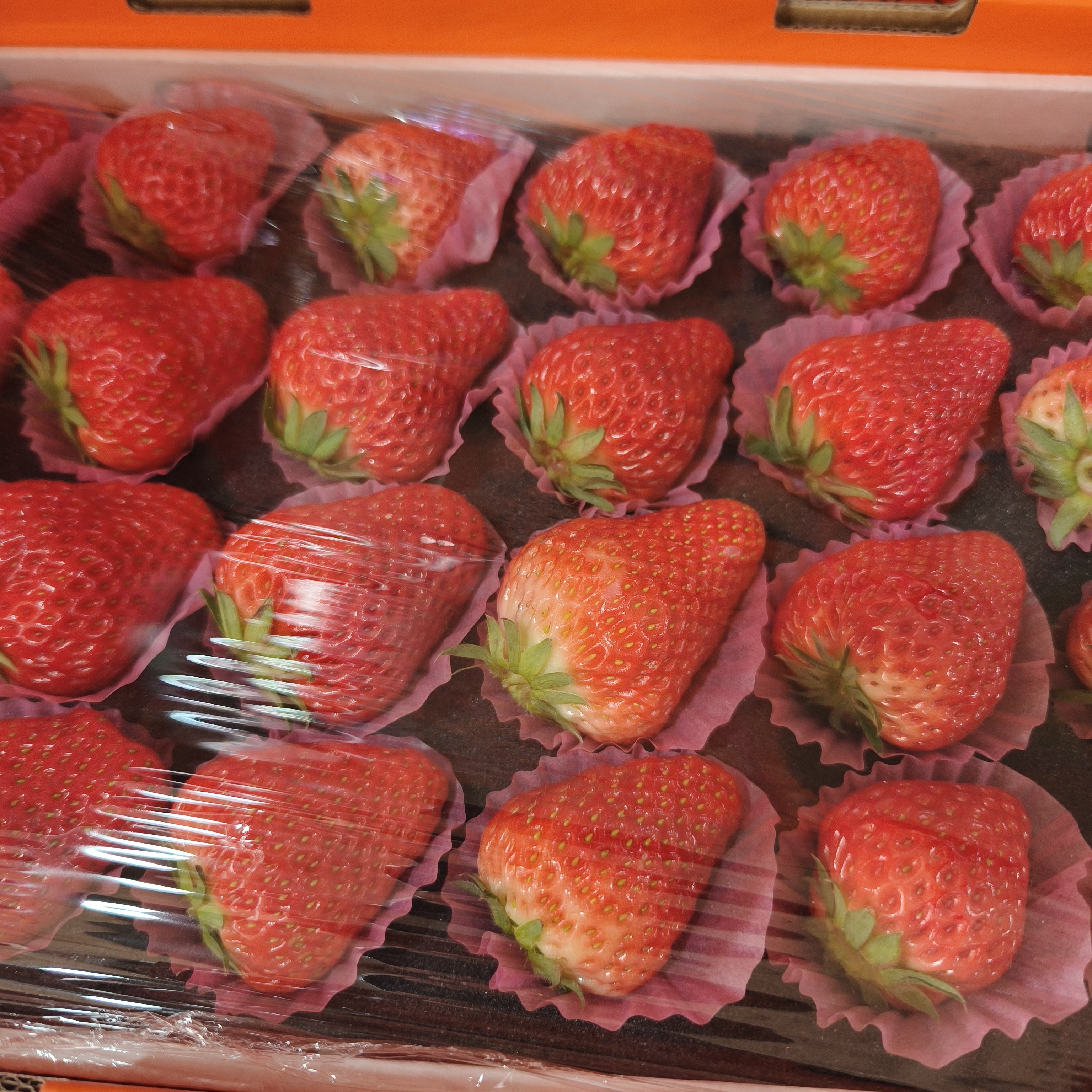 H丹东九九草莓盒