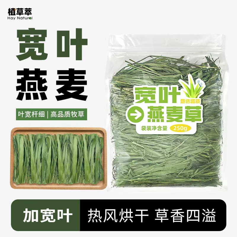 【甄选宽叶燕麦 几近纯叶】烘干燕麦草草段高纤维草饲料豚鼠荷兰猪