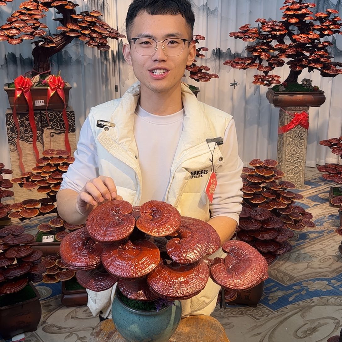 无花朵8888888888