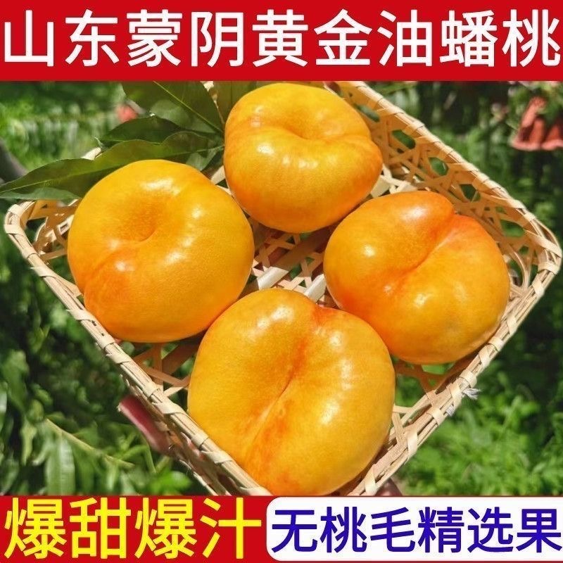 正宗山东蒙阴彩虹油蟠爆甜黄油蟠桃产地现摘现发新鲜水果