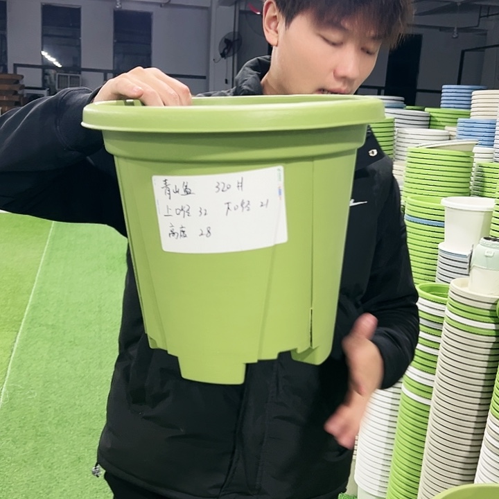 清仓青山口32高28果绿色5只无托