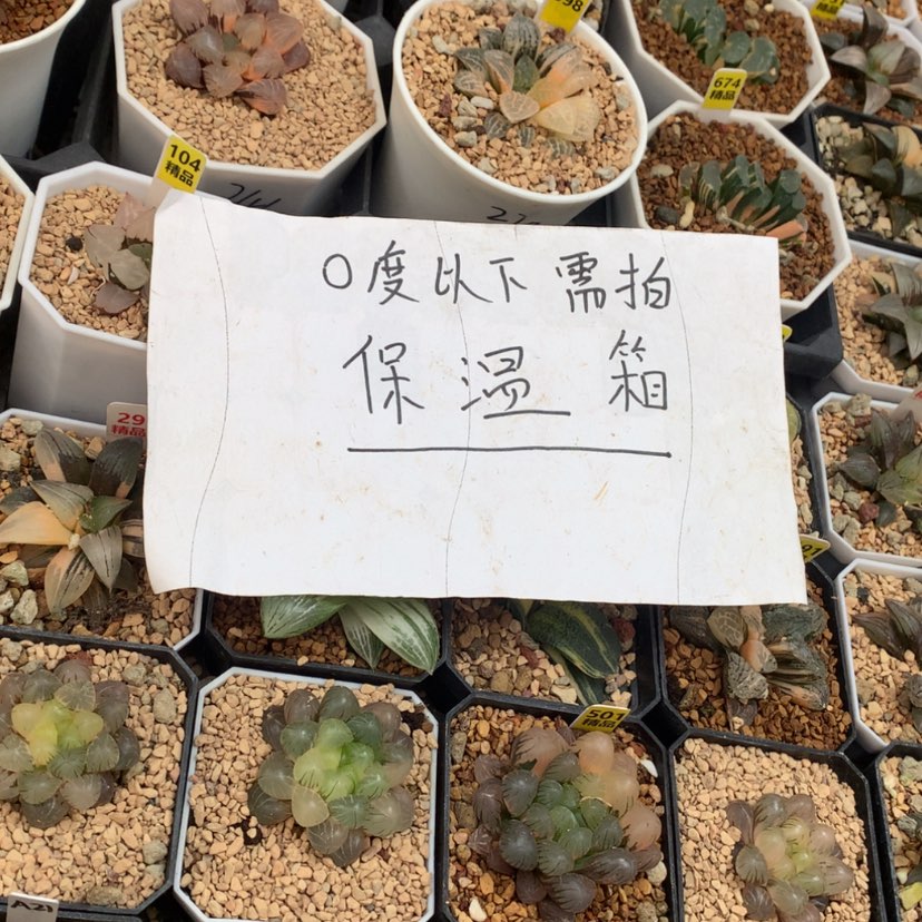 【闪购商品】0度以下需拍保温箱