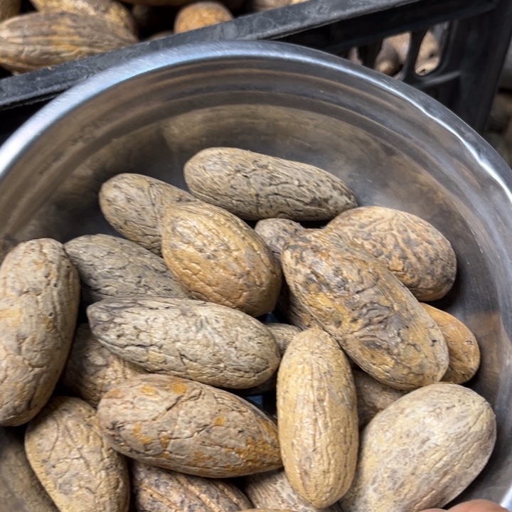 吊坠千眼菩提千眼菩提第137