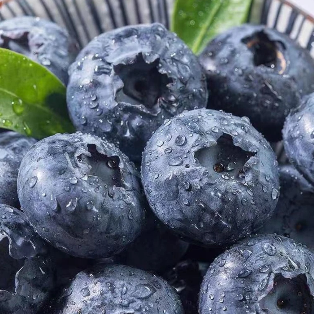 【活动款】云南25花香蓝莓 脆甜高山露天种植花香蓝莓带盒100g/盒SK