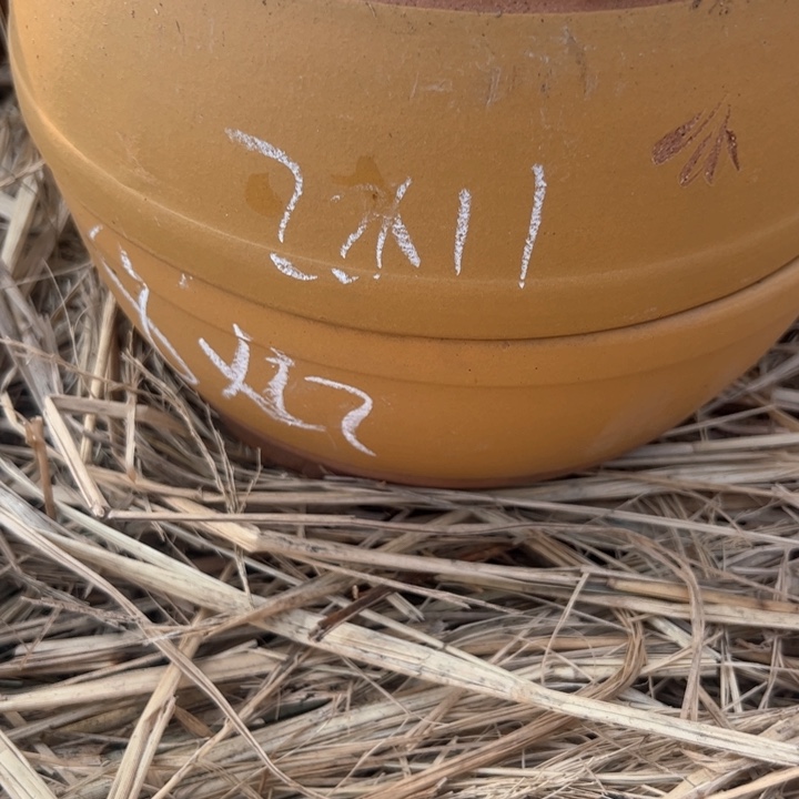 红陶紫砂碗盆扣22