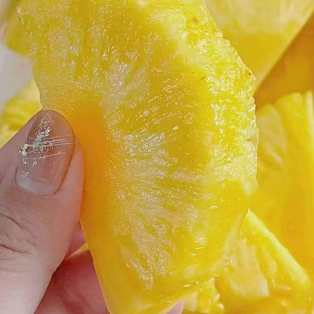 海南金钻凤梨2粒自然熟 香甜多汁放黄吃更甜