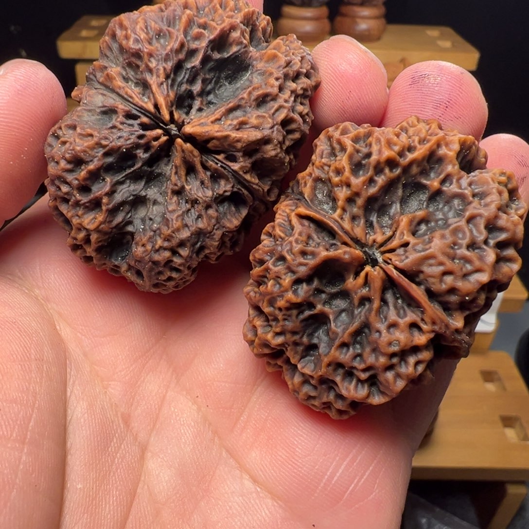 吊坠文玩核桃苍山神鹰47mm（要修尖）