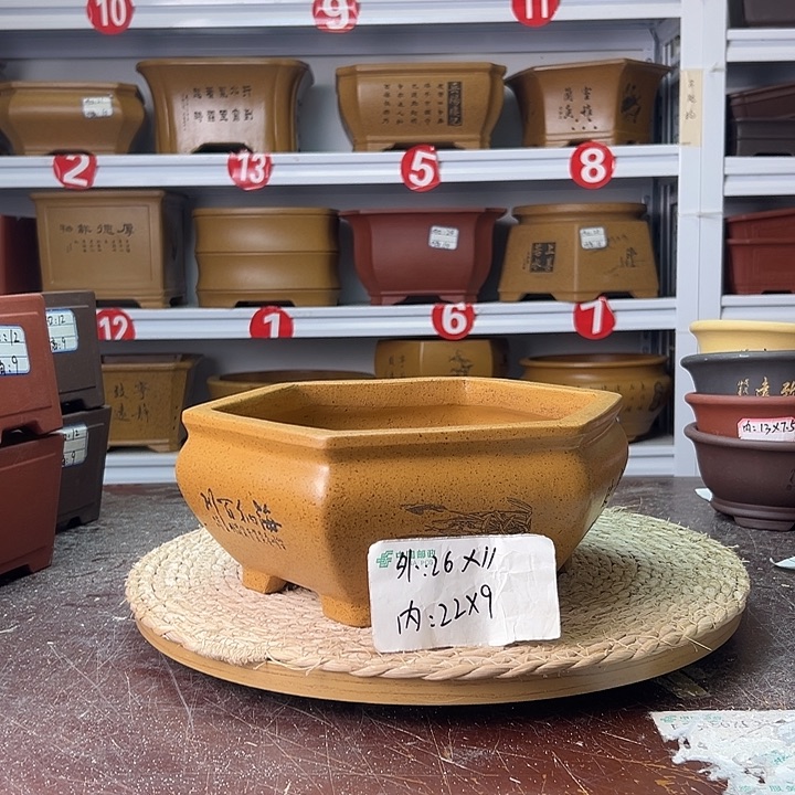 紫砂花盆蛇年大吉