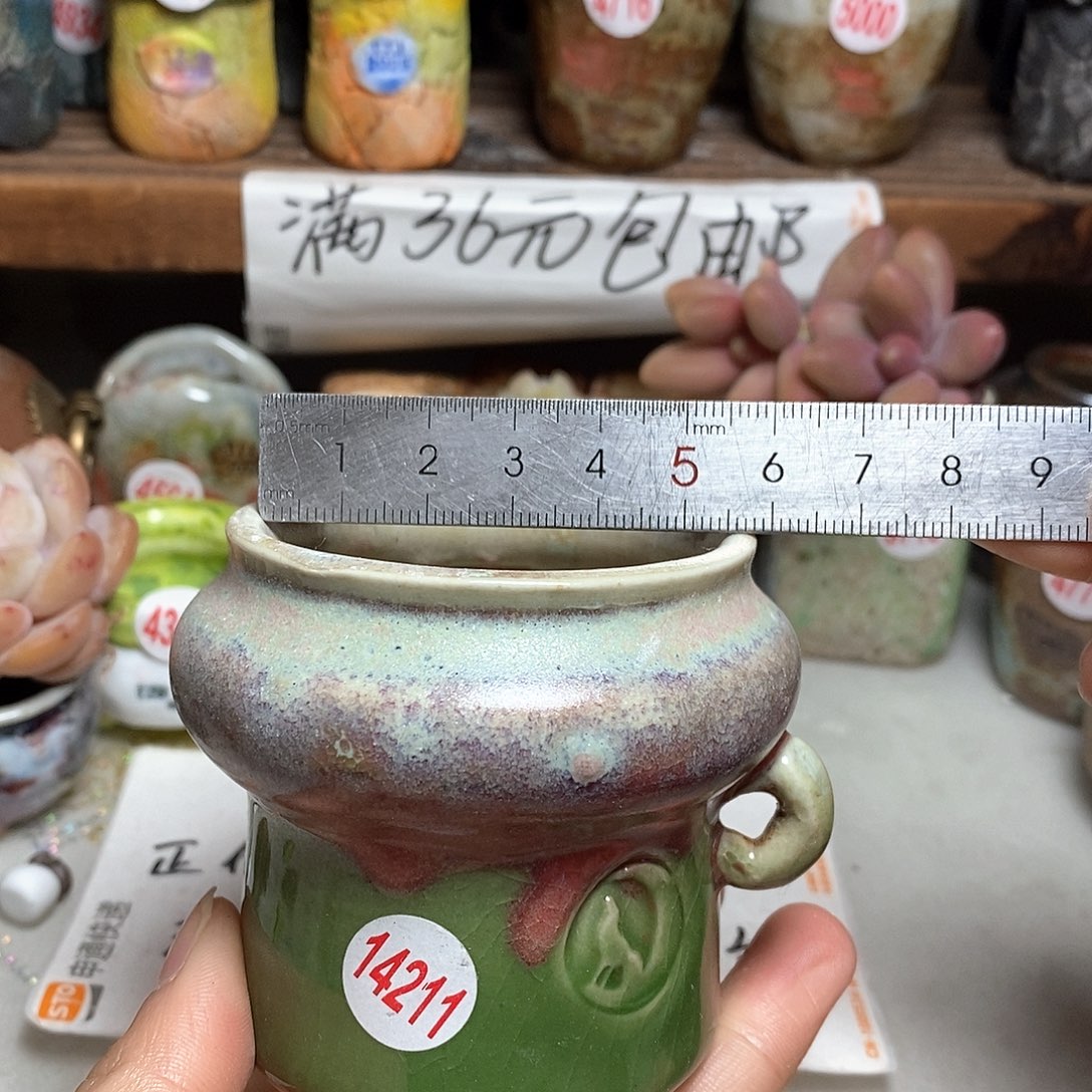 红陶拍5送一个小