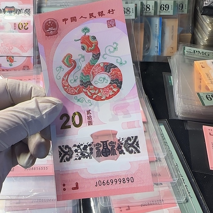 塑料066999890圆圆豹子999身单张