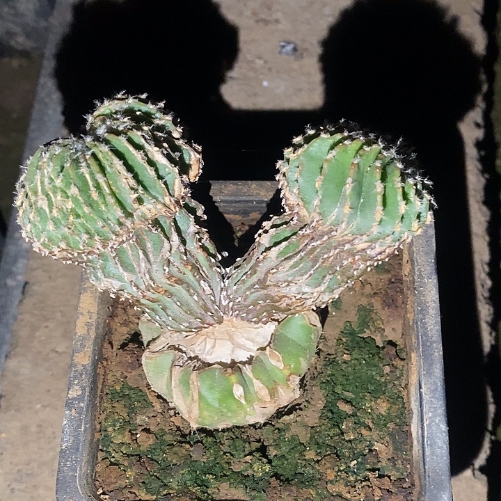 都***行哈哈哈哈哈哈哈哈