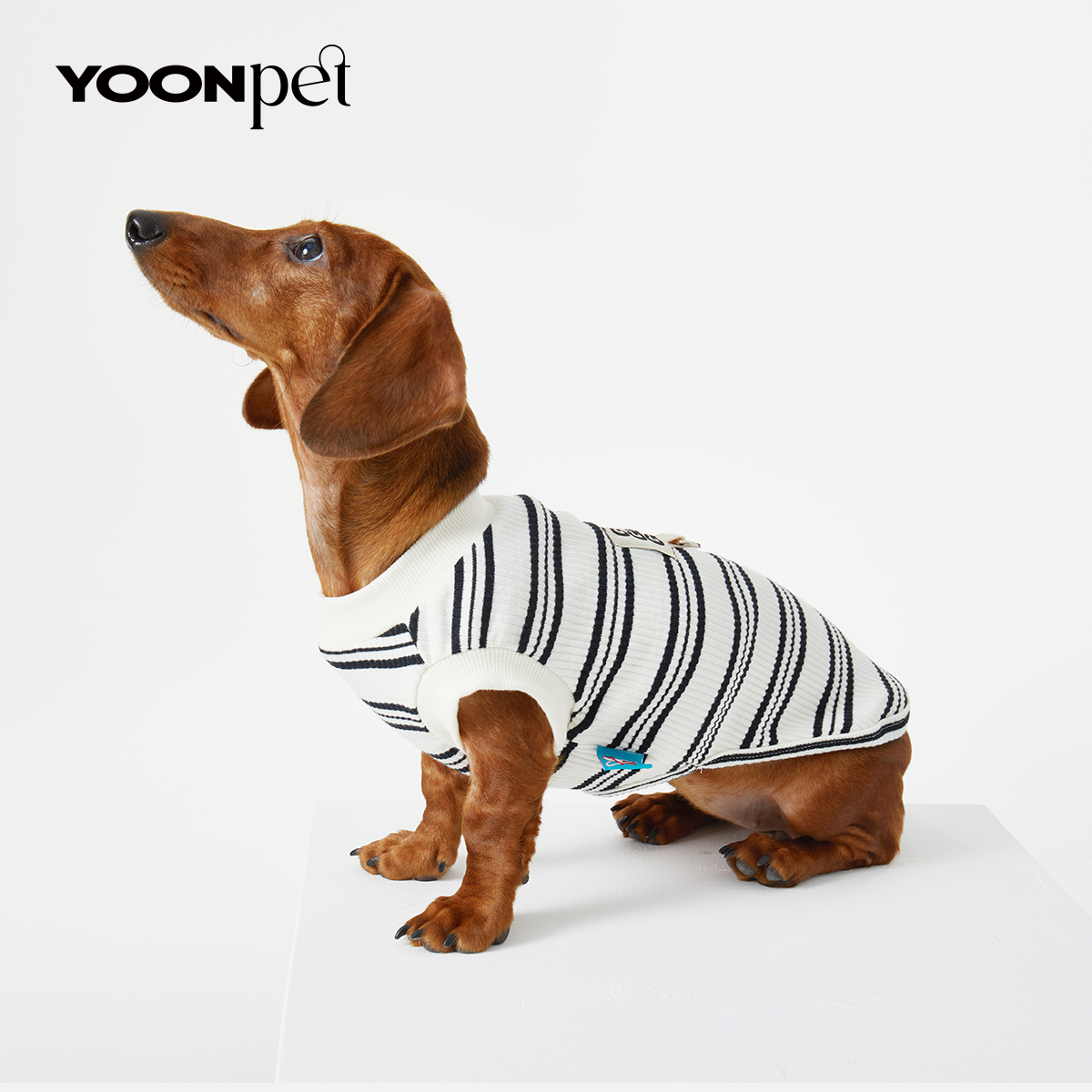 狗狗猫咪宠物衣服春夏季舒适条纹无袖背心腊肠迷你杜宾比熊博美