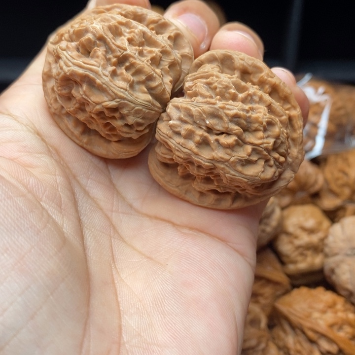 吊坠龙脊菩提不退不换白狮子