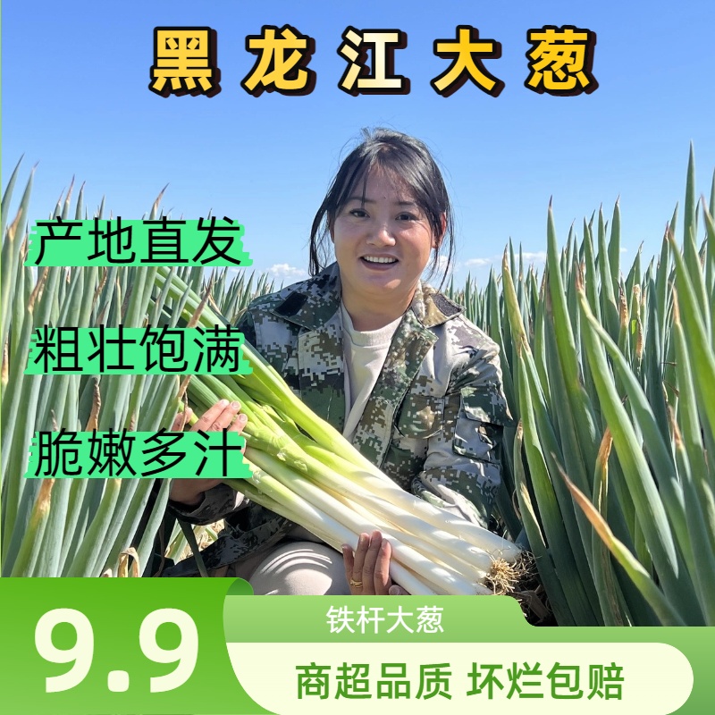 东北大葱去皮去半叶黑龙江铁杆大葱原产地直发现拔现发蘸酱炒菜