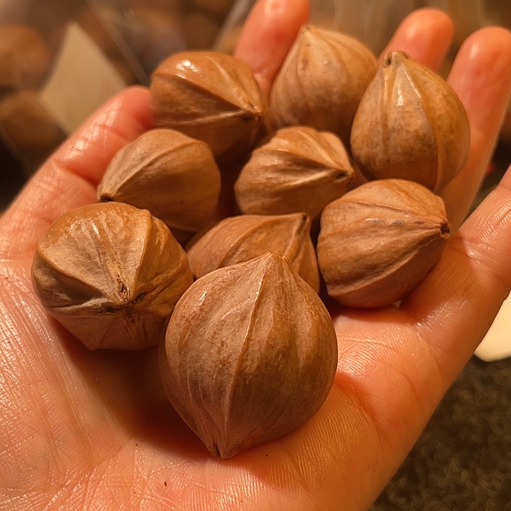 青***巴橄榄核吊坠2.7✖️3.2