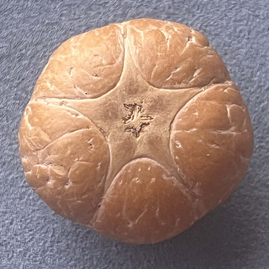 19梅花五星，星正，尺寸21.1mm，厚14.4mm，