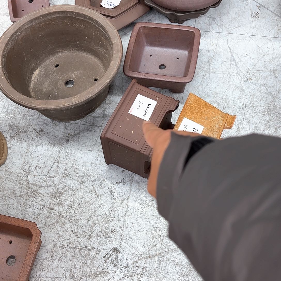 紫砂花盆木**沐紫砂的颜色很好看