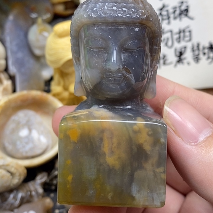硅化珊瑚（珊瑚玉）未镶嵌颈饰