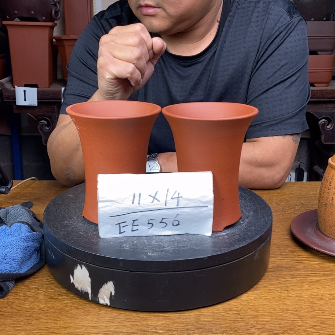 紫砂货号一只EE556