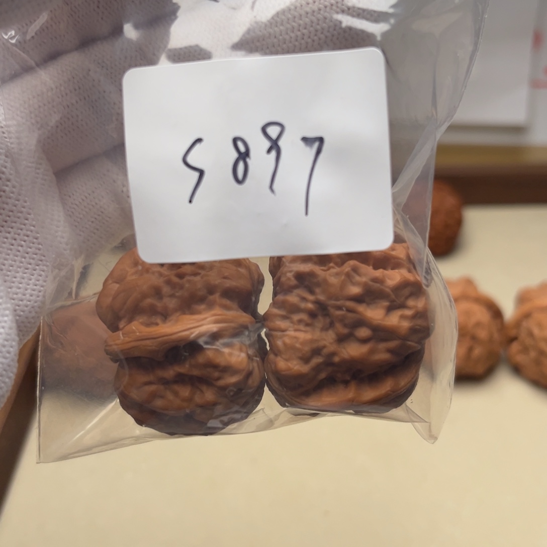 文玩核桃吊坠蛤蟆s897